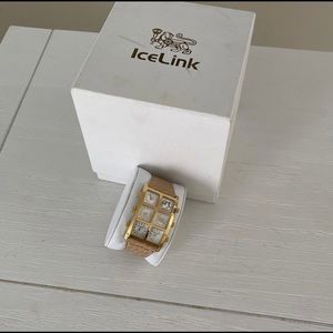IceLink watch